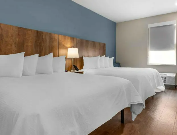 Extended Stay America Premier Suites - San Antonio - Schertz hotel detail image 3