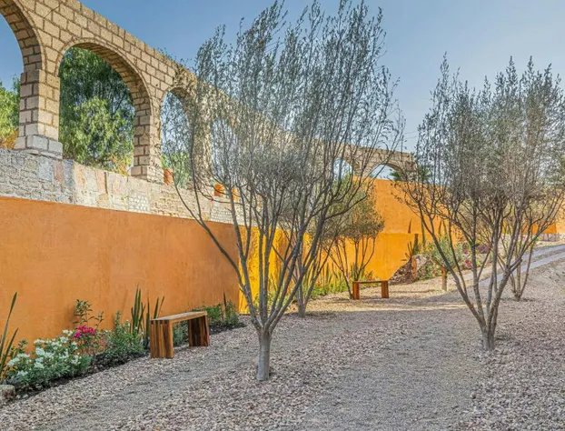 Cleviá, San Miguel de Allende, Autograph Collection hotel detail image 2