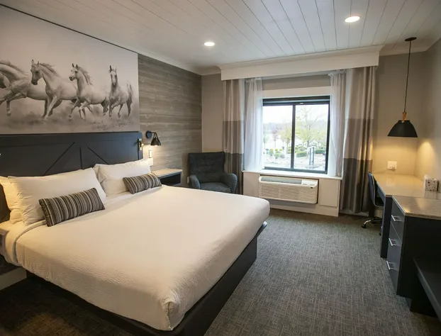 Tryon Resort hotel detail image 4