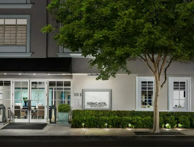 Mosaic Hotel hotel detail image 1