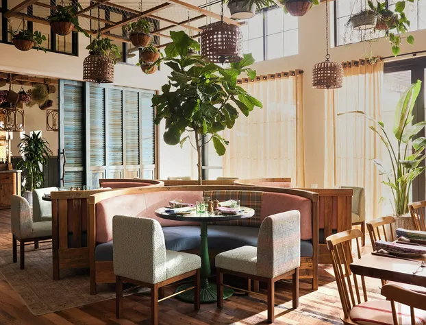 Treehouse Hotel Silicon Valley hotel detail image 4