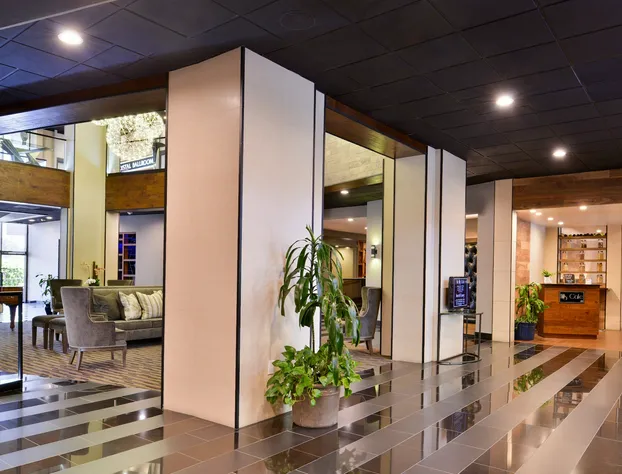 voco The Hills Hotel by IHG hotel detail image 4