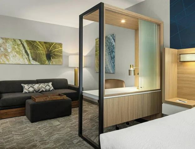 SpringHill Suites by Marriott Eau Claire hotel detail image 3