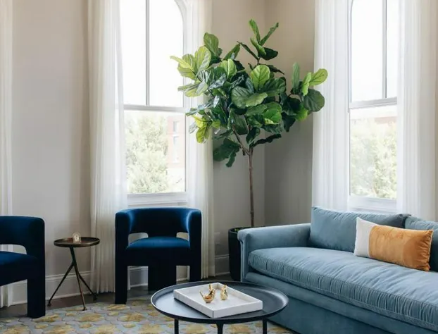 The Purple Martin hotel detail image 3