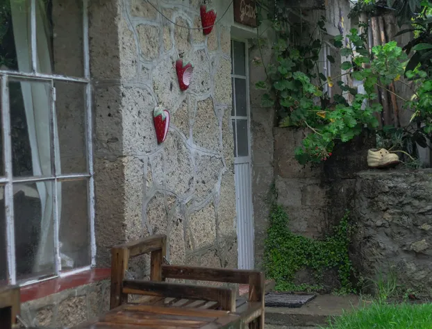 Hotel Las Palmas By GEstores hotel detail image 3