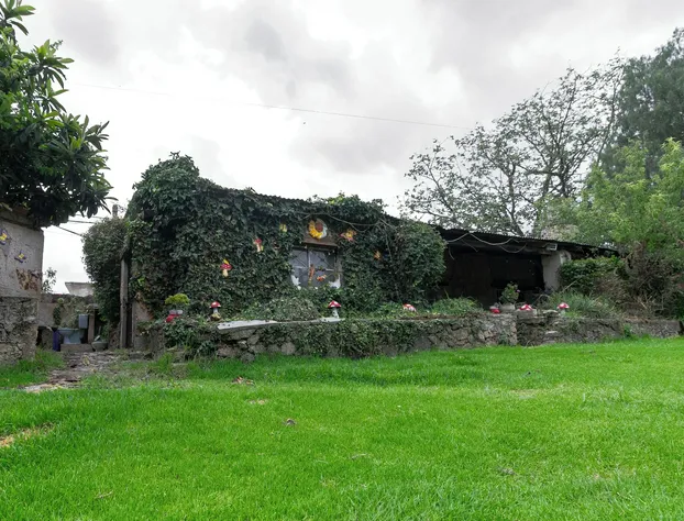 Hotel Las Palmas By GEstores hotel detail image 4