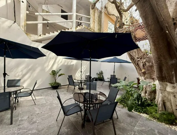 CASA TORTUGA 5Th. Ave hotel detail image 1