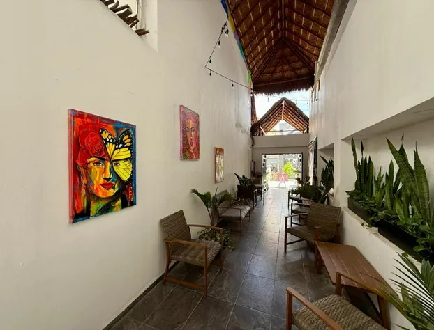 CASA TORTUGA 5Th. Ave hotel detail image 3