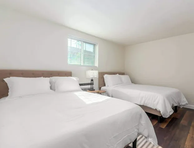 Tempe Oasis hotel detail image 3