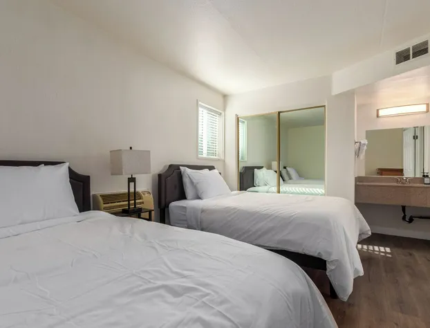 Tempe Oasis hotel detail image 4