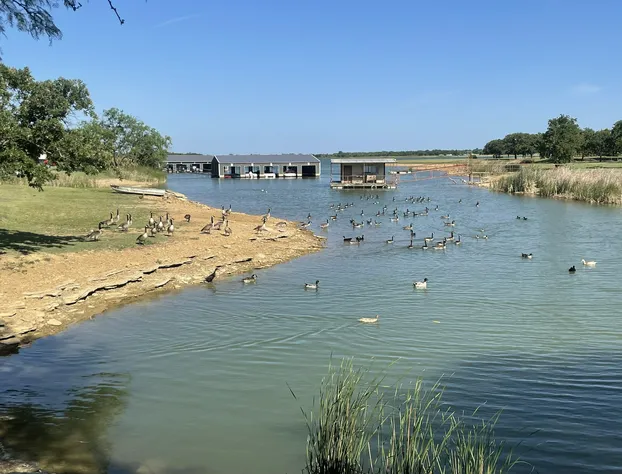 Village Inn hotel detail image 2