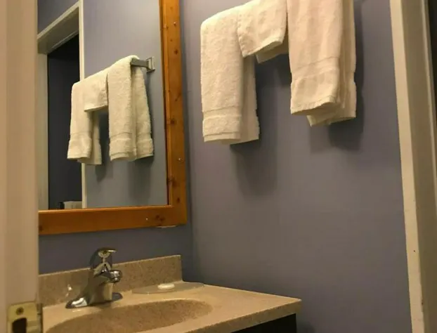 The little chalet motel hotel detail image 3