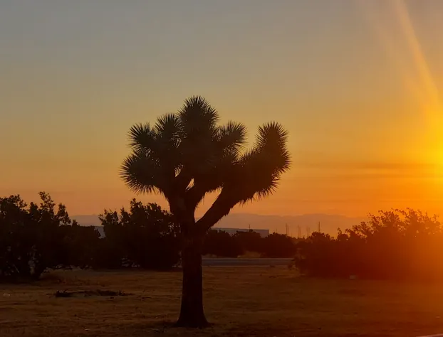 Studio 6 Suites Hesperia, CA – West Main Street – I-15 hotel detail image 2