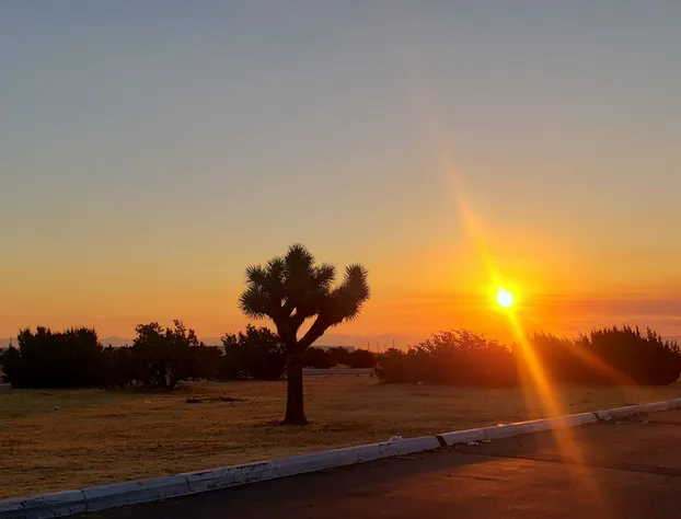 Studio 6 Suites Hesperia, CA – West Main Street – I-15 hotel detail image 3