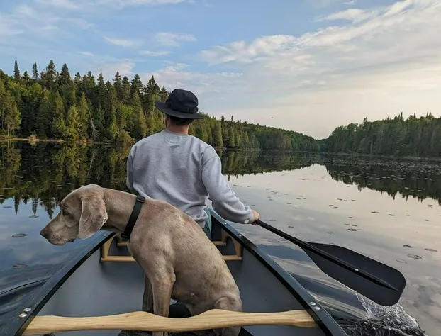 Lièvre Rouge- Refuge en forêt hotel detail image 1