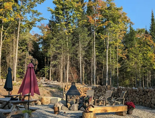 Lièvre Rouge- Refuge en forêt hotel detail image 3