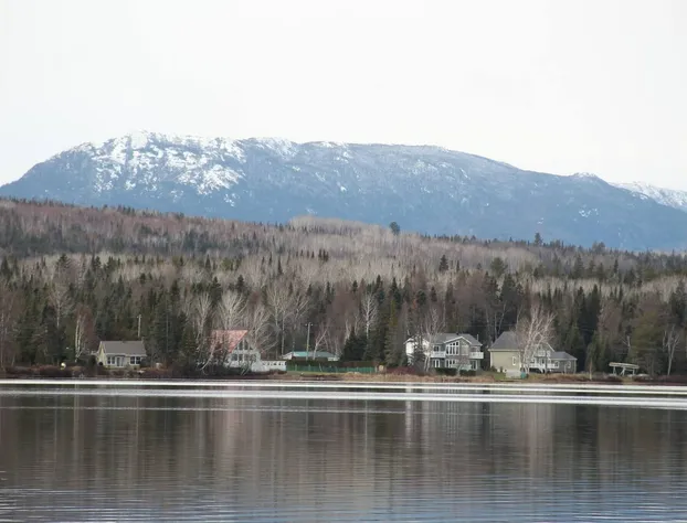 Room-luther King Grande Chambre Décor Mo hotel detail image 1