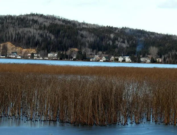 Room-luther King Grande Chambre Décor Mo hotel detail image 2