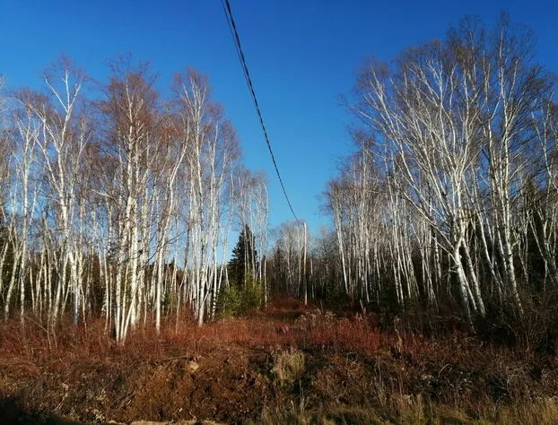 Room-luther King Grande Chambre Décor Mo hotel detail image 3