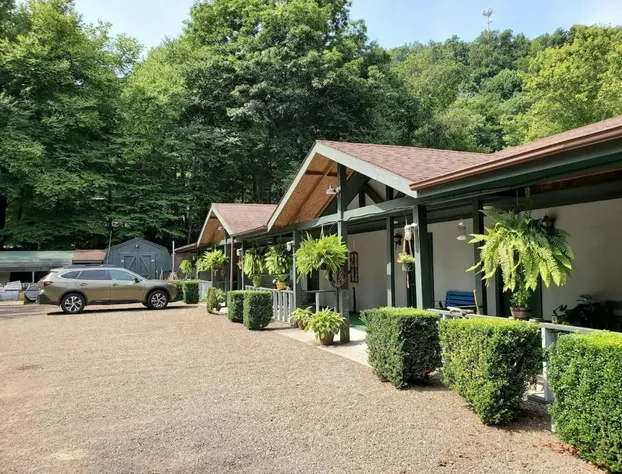 Lodge at Mount Mitchell hotel detail image 2