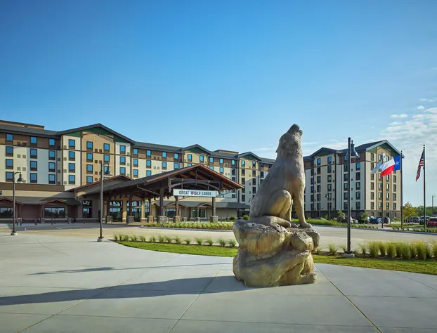 Great Wolf Lodge Webster hotel detail image 2