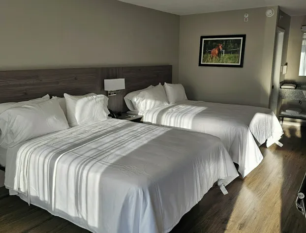 Quality Inn & Suites Ocala I-75 hotel detail image 4