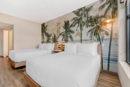 Cambria Hotel Tampa-Brandon hotel detail image 3