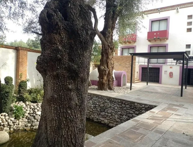 Hotel Boutique Casa Del Bosque hotel detail image 4