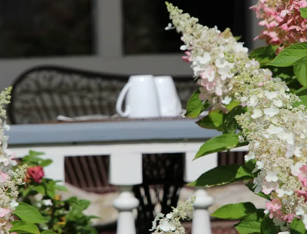 Auberge Comme au premier jour hotel detail image 2