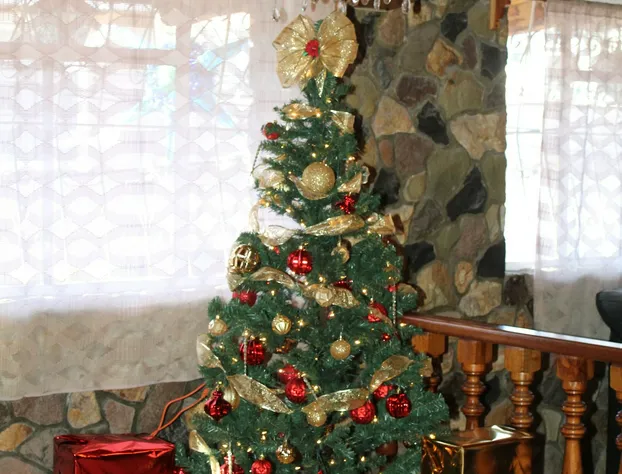 Komod Business Hotel hotel detail image 2