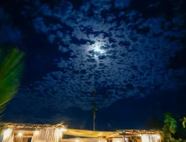 Tres Velas Surf hotel detail image 4