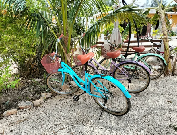 Hotel Villa Gabriela hotel detail image 1