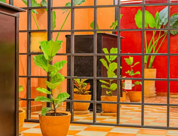 Casona Quetzal hotel detail image 4