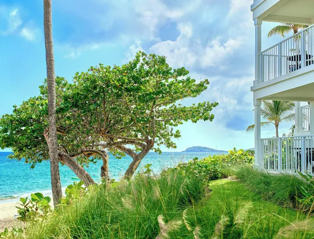 Buoy Haus Beach Resort St. Thomas, Autograph Collection hotel detail image 3