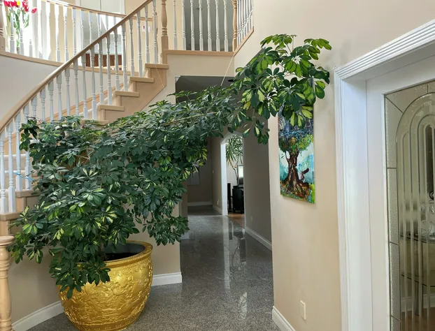 Rose Garden Vancouver Airport-Richmond BC hotel detail image 1