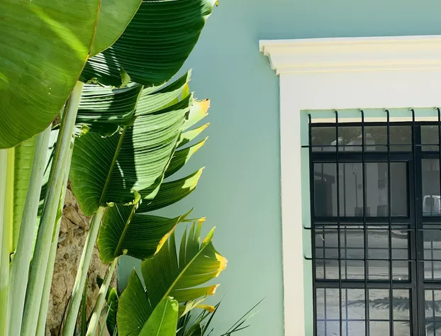 Casa Magu Merida hotel detail image 1