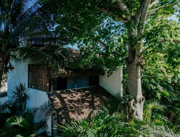 Icástico Tulum hotel detail image 1