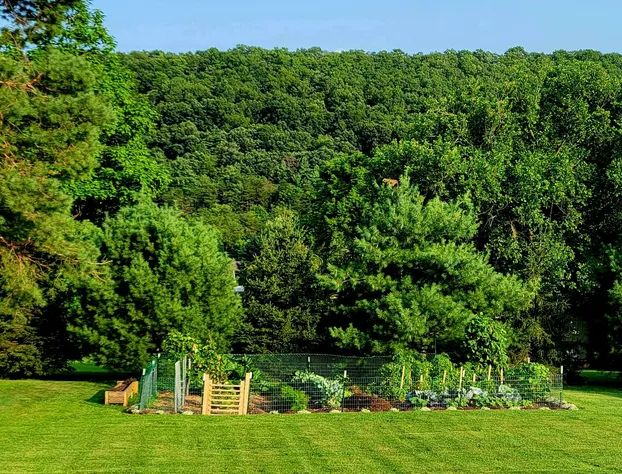 The Pause Bed & Breakfast hotel detail image 3