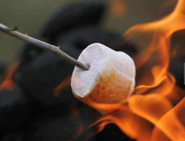 The Pause Bed & Breakfast hotel detail image 4