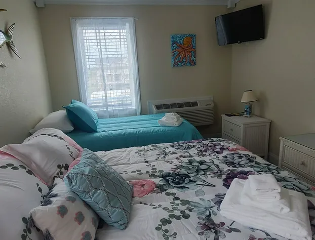 Beach Road Bed and Breakfast hotel detail image 2