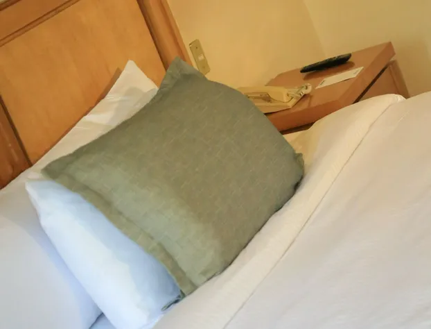 Tru by Hilton Saltillo hotel detail image 2