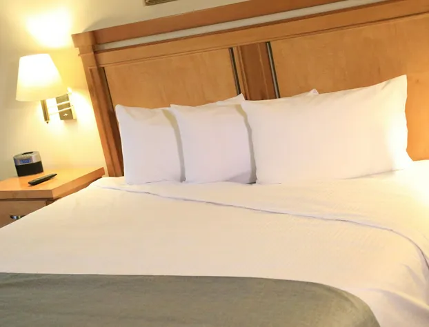 Tru by Hilton Saltillo hotel detail image 3