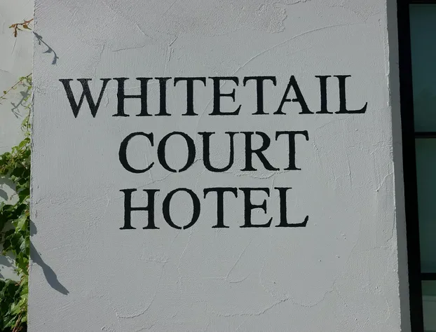 Whitetail Court Hotel hotel detail image 3
