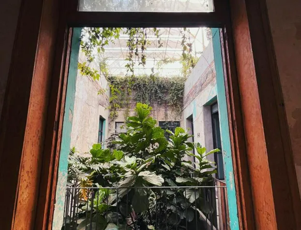 Guest Rooms Jardin Prim hotel detail image 1