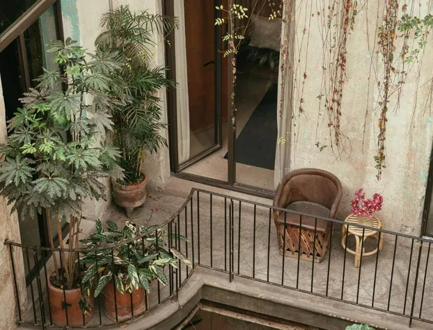 Guest Rooms Jardin Prim hotel detail image 3