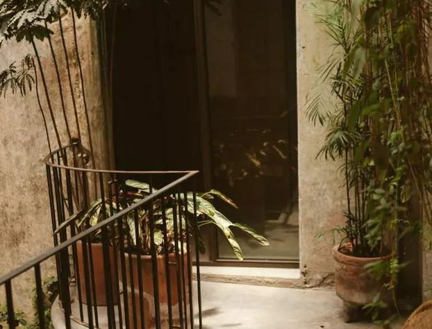 Guest Rooms Jardin Prim hotel detail image 4