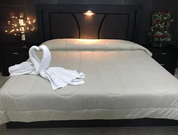 Hotel Fiesta Mexicana Pachuca hotel detail image 3