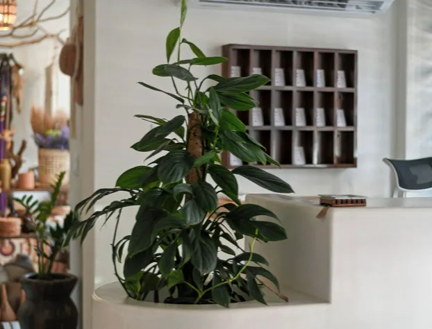 Ixic posada boutique hotel detail image 2