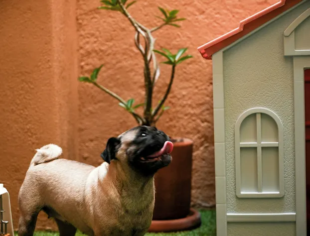 Ixic posada boutique hotel detail image 4