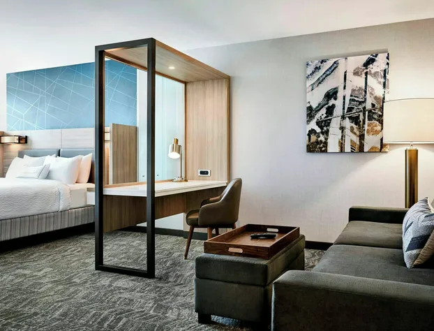 SpringHill Suites by Marriott Charlotte Arrowood hotel detail image 3